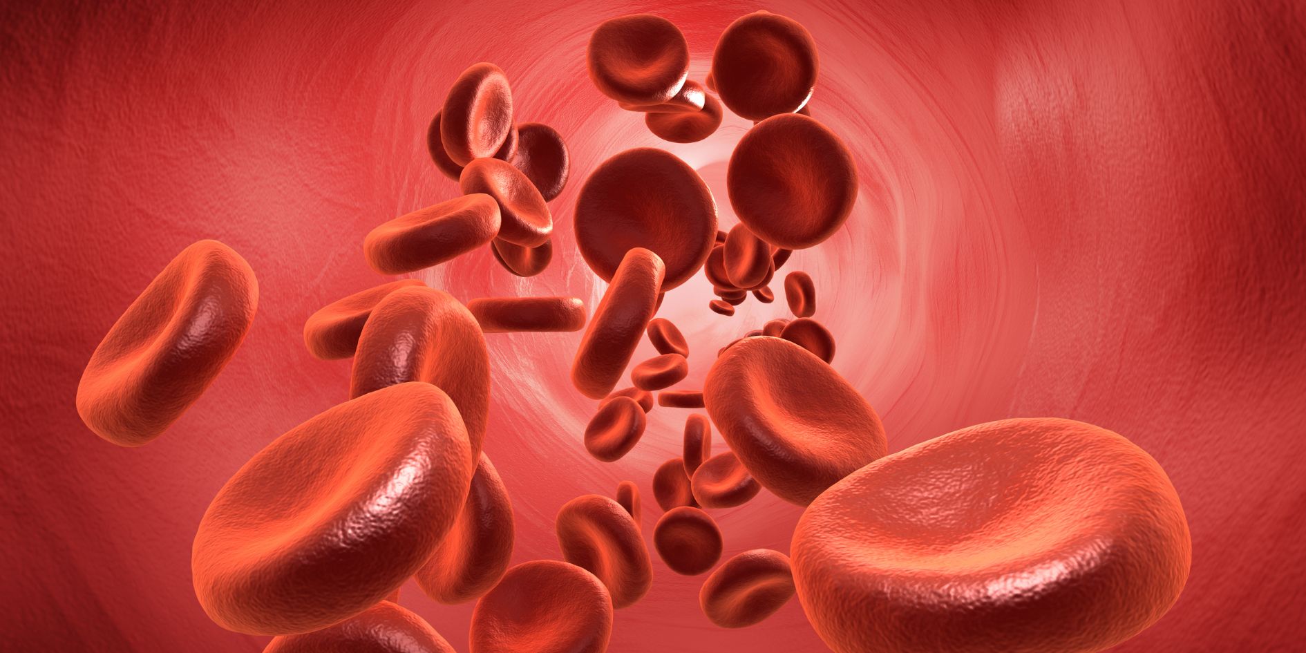 உடலில் இரத்தம் அதிகரிக்க சாப்பிடவேண்டிய 7 உணவுகள்