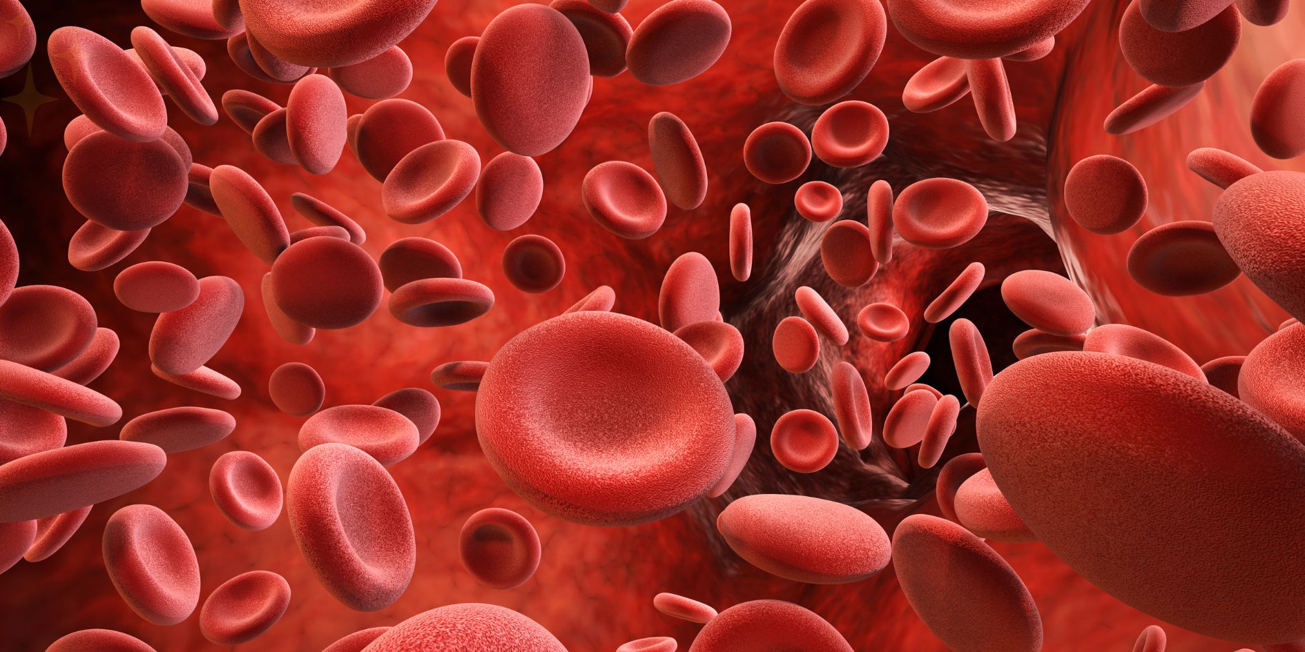 உடலில் இரத்தத்தை அதிகரிக்க 7 உணவுப் பொருட்கள்